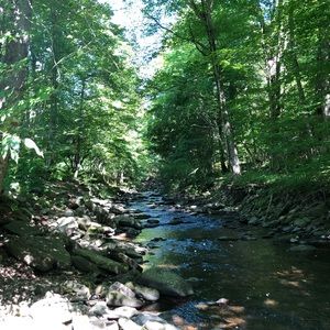 Meet your Posher, Manuela